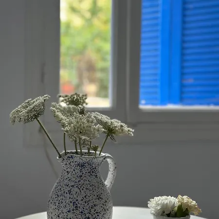 Bright Authentic Cycladic Home, Walk To Center Apartamento *